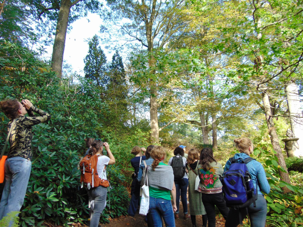 Group of people looking up into forest canopy birdwatching